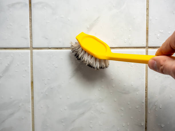 Best Mold Cleaning Services  in Hartford, AL