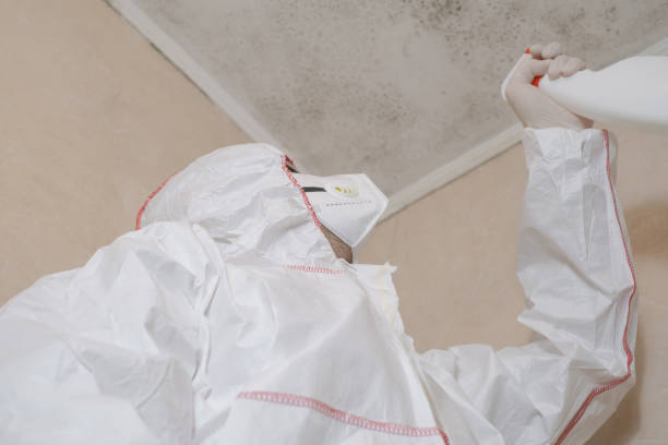 Best Commercial Mold Removal  in Hartford, AL